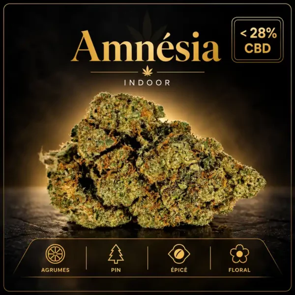 Amnesia CBD INDOOR