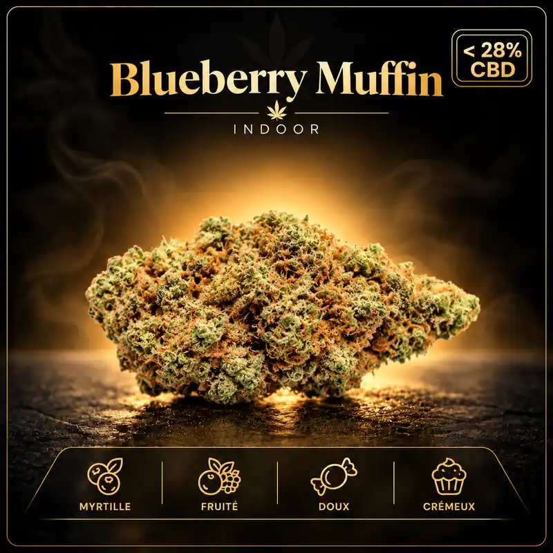 Blueberry Muffin CBD Indoor fleur CBD suisse premium