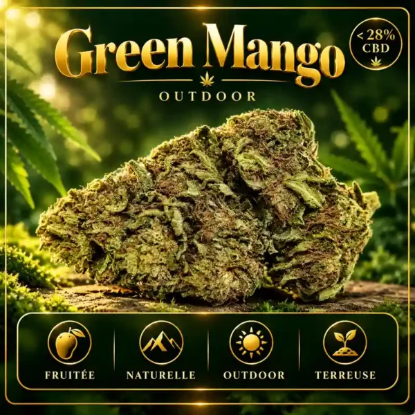 Green Mango CBD Outdoor fleur CBD suisse