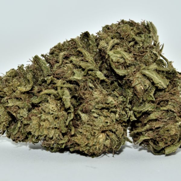 Fleurs de CBD KDC Organic Green Mango OUTDOOR