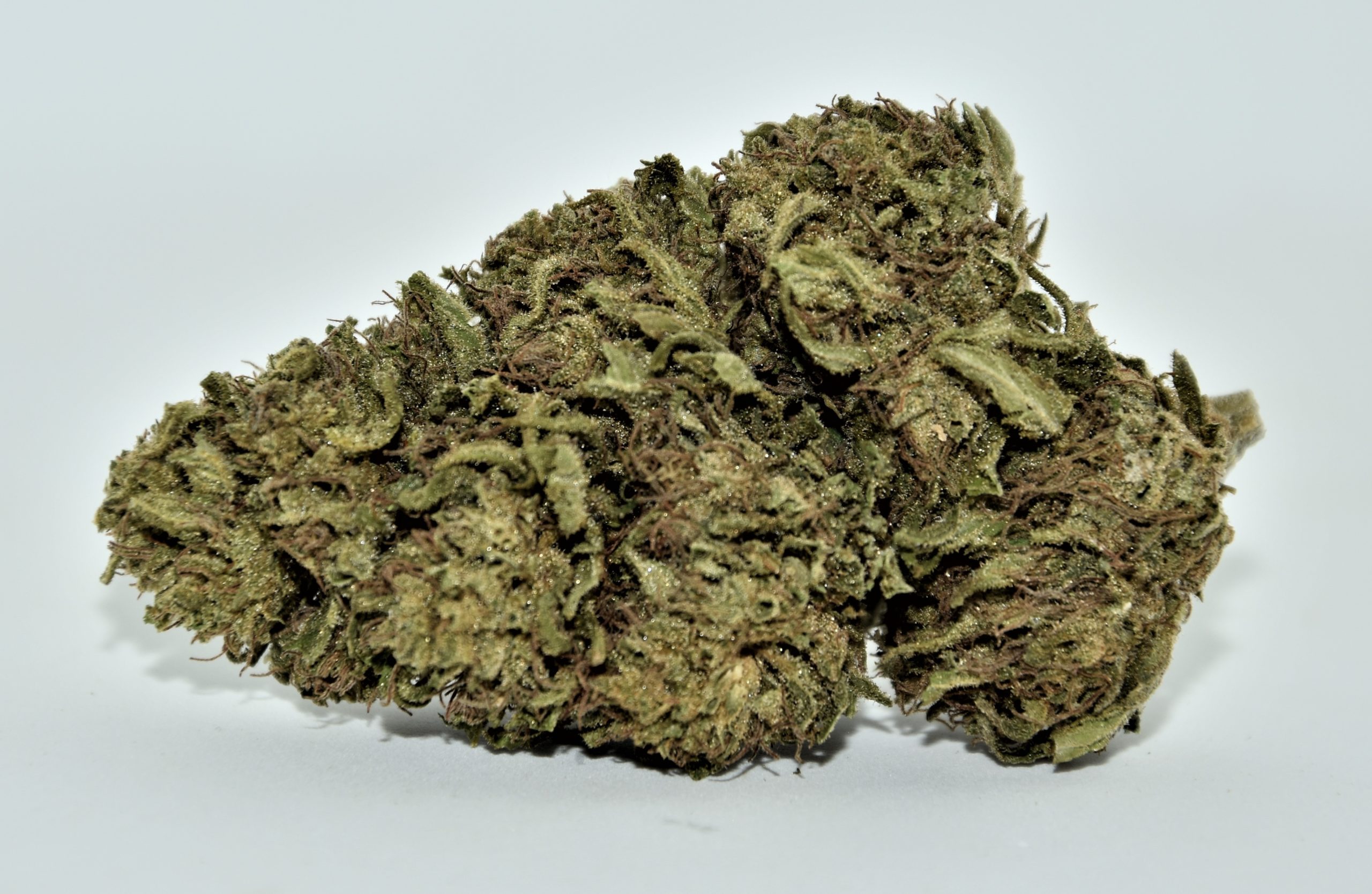 Fleurs de CBD KDC Organic Green Mango OUTDOOR