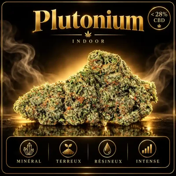 Plutonium CBD Indoor fleur CBD suisse premium