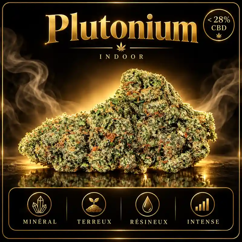 Plutonium CBD Indoor fleur CBD suisse premium
