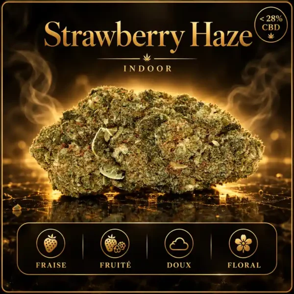 Strawberry Haze CBD Indoor fleur CBD suisse premium