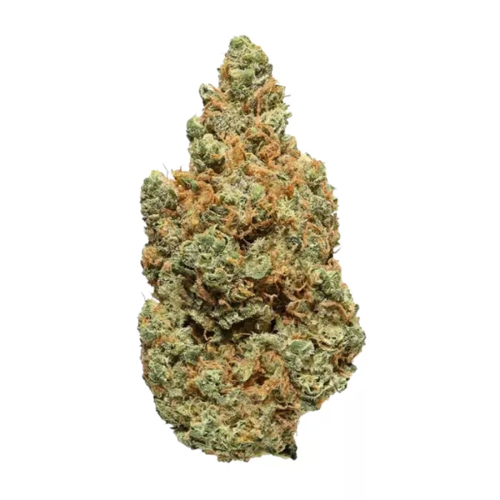Fleurs de CBD Blueberry Muffin INDOOR