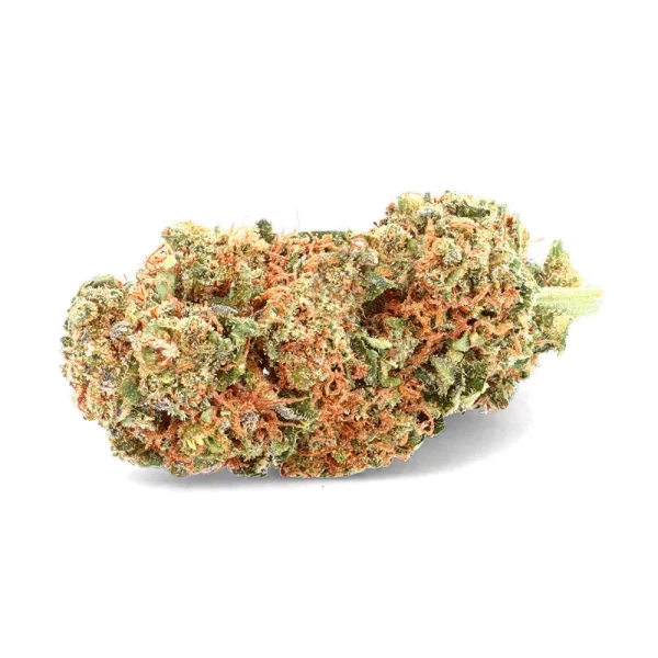 SMALL BUD CBD Lemon INDOOR