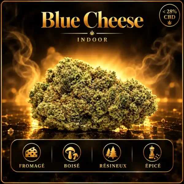Blue Cheese CBD Indoor fleur CBD suisse