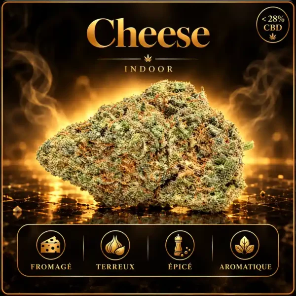 Cheese CBD Indoor fleur CBD premium