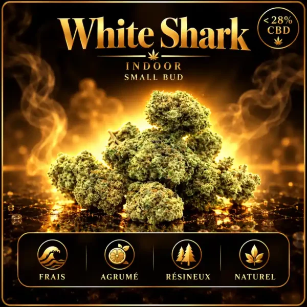 Small Bud White Shark CBD petites fleurs CBD